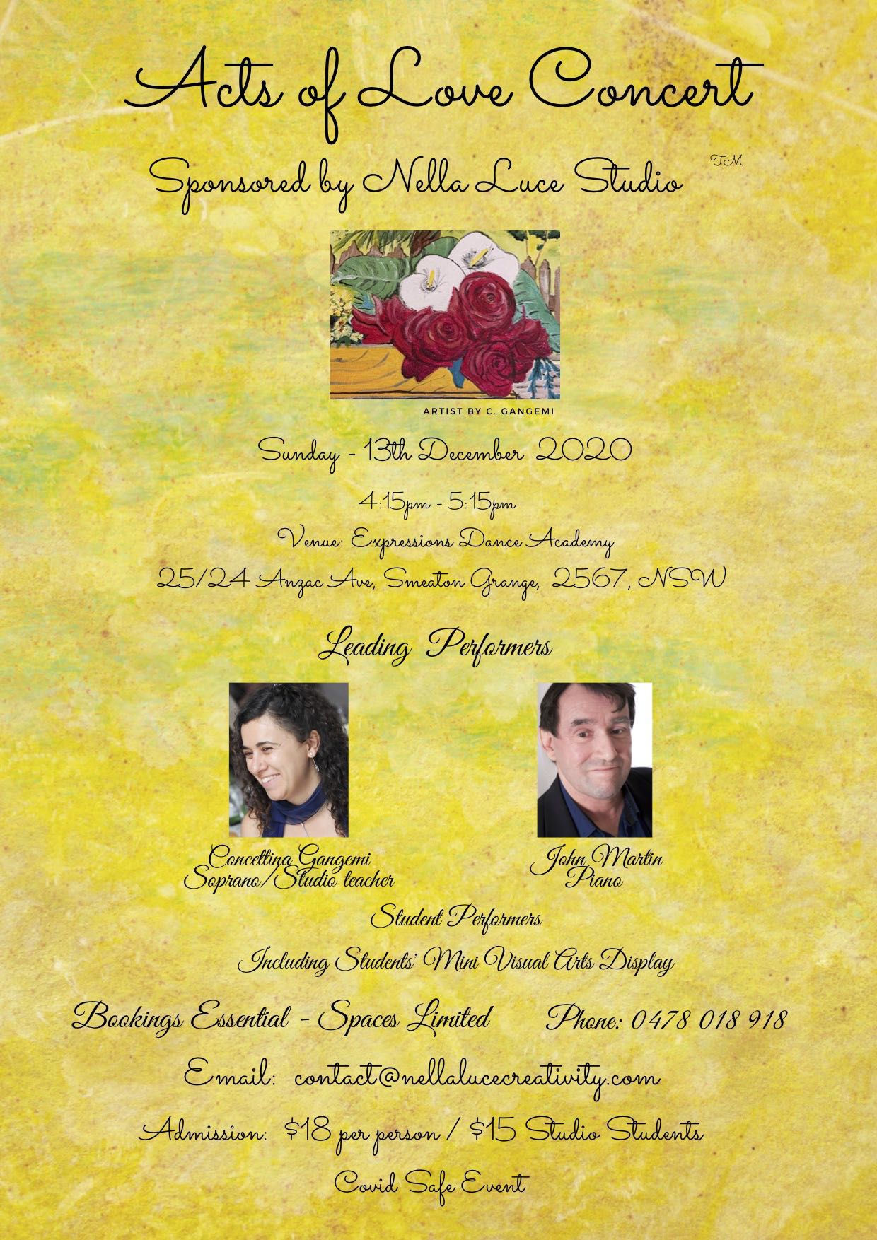 PROFESSIONAL CONCERTS Nella Luce Studio